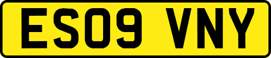 ES09VNY