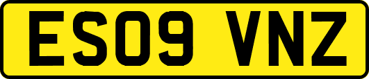 ES09VNZ