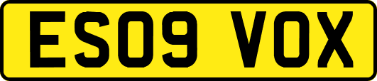 ES09VOX