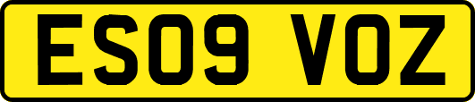 ES09VOZ