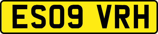 ES09VRH