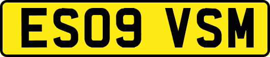 ES09VSM