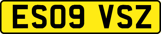 ES09VSZ