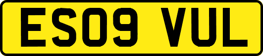 ES09VUL