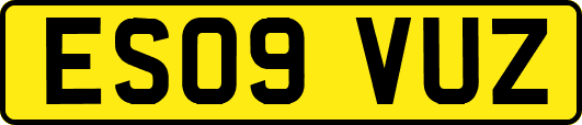 ES09VUZ
