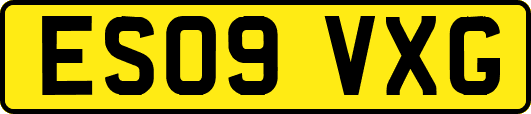 ES09VXG