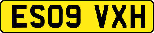 ES09VXH