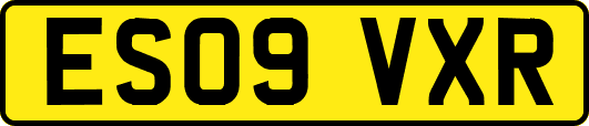 ES09VXR