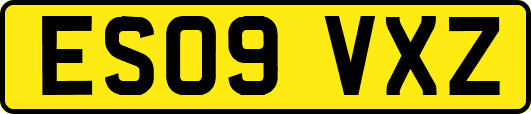 ES09VXZ