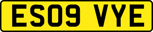 ES09VYE