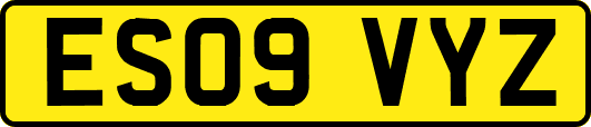ES09VYZ