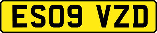ES09VZD