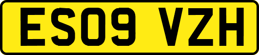 ES09VZH