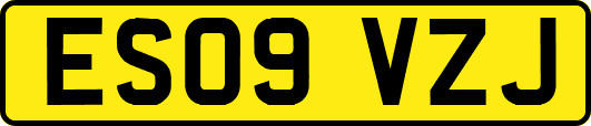 ES09VZJ