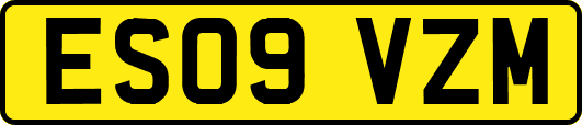 ES09VZM