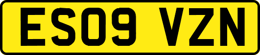 ES09VZN