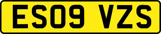 ES09VZS