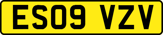 ES09VZV