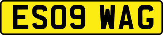 ES09WAG