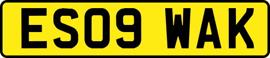 ES09WAK