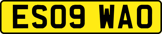 ES09WAO