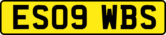 ES09WBS