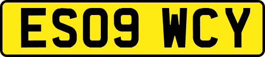 ES09WCY