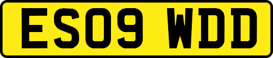 ES09WDD