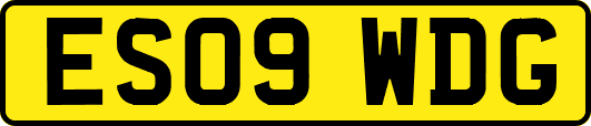 ES09WDG