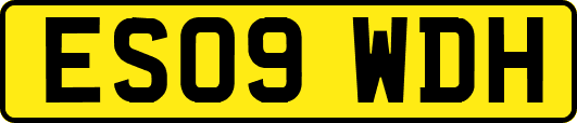 ES09WDH