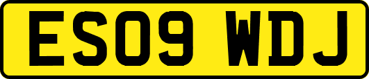 ES09WDJ