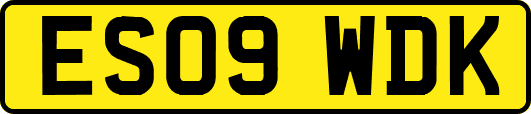 ES09WDK