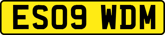 ES09WDM