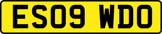 ES09WDO