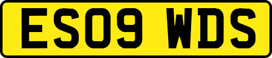 ES09WDS