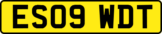 ES09WDT