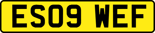 ES09WEF