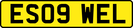 ES09WEL