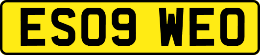 ES09WEO