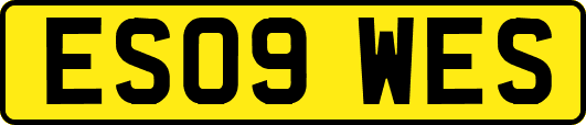 ES09WES