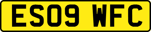 ES09WFC