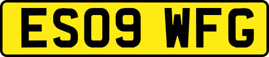 ES09WFG