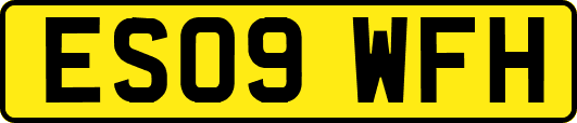 ES09WFH