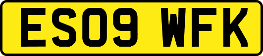 ES09WFK