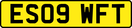 ES09WFT