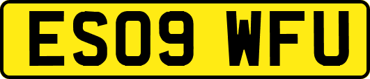 ES09WFU