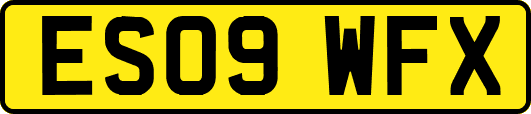 ES09WFX