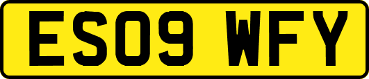 ES09WFY