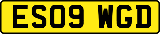 ES09WGD