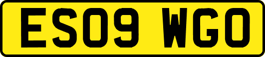 ES09WGO